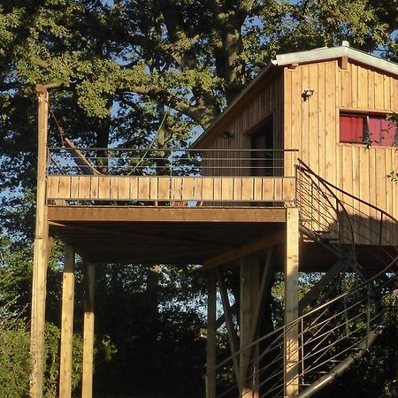 La cabane perchée du faucon Frechou-Frechet Extérieur photo