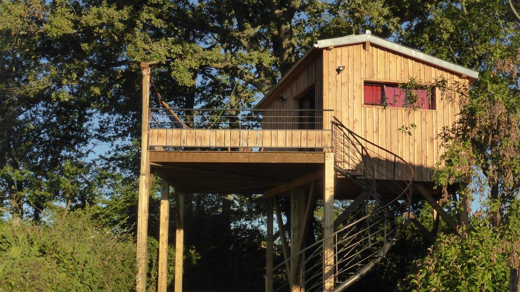 La cabane perchée du faucon Frechou-Frechet Extérieur photo